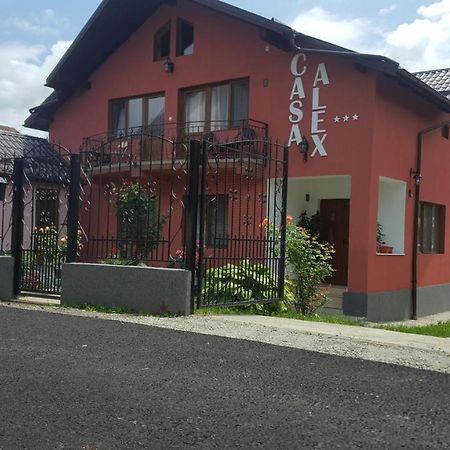 Vila Alex Hotel Călimăneşti Eksteriør billede
