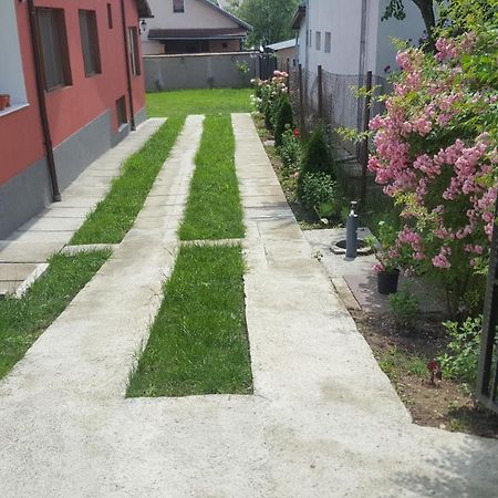 Vila Alex Hotel Călimăneşti Eksteriør billede