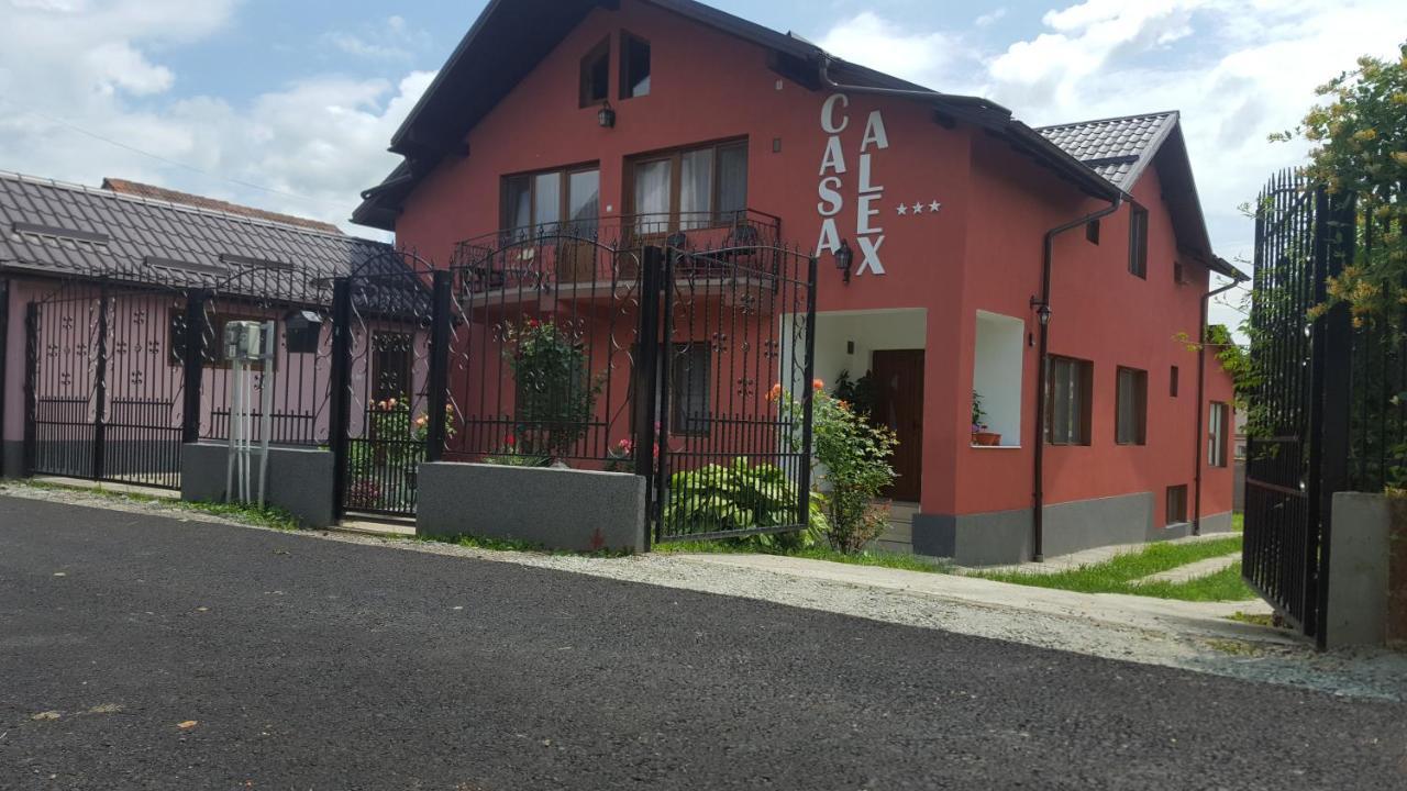 Vila Alex Hotel Călimăneşti Eksteriør billede
