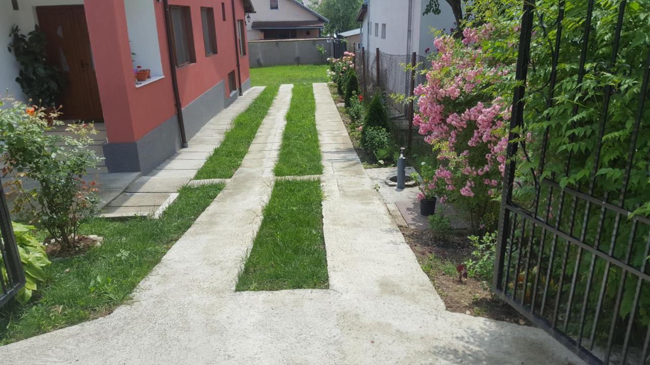 Vila Alex Hotel Călimăneşti Eksteriør billede