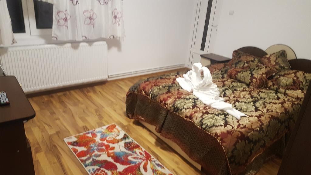 Vila Alex Hotel Călimăneşti Eksteriør billede