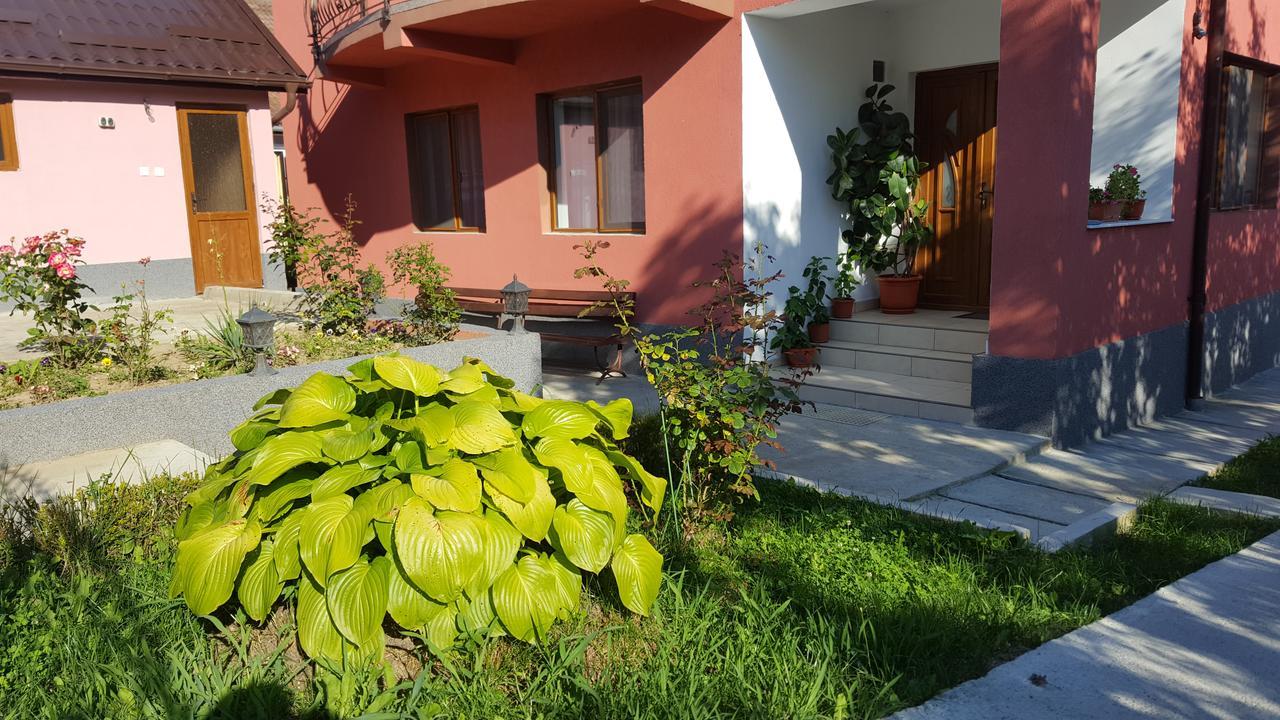 Vila Alex Hotel Călimăneşti Eksteriør billede