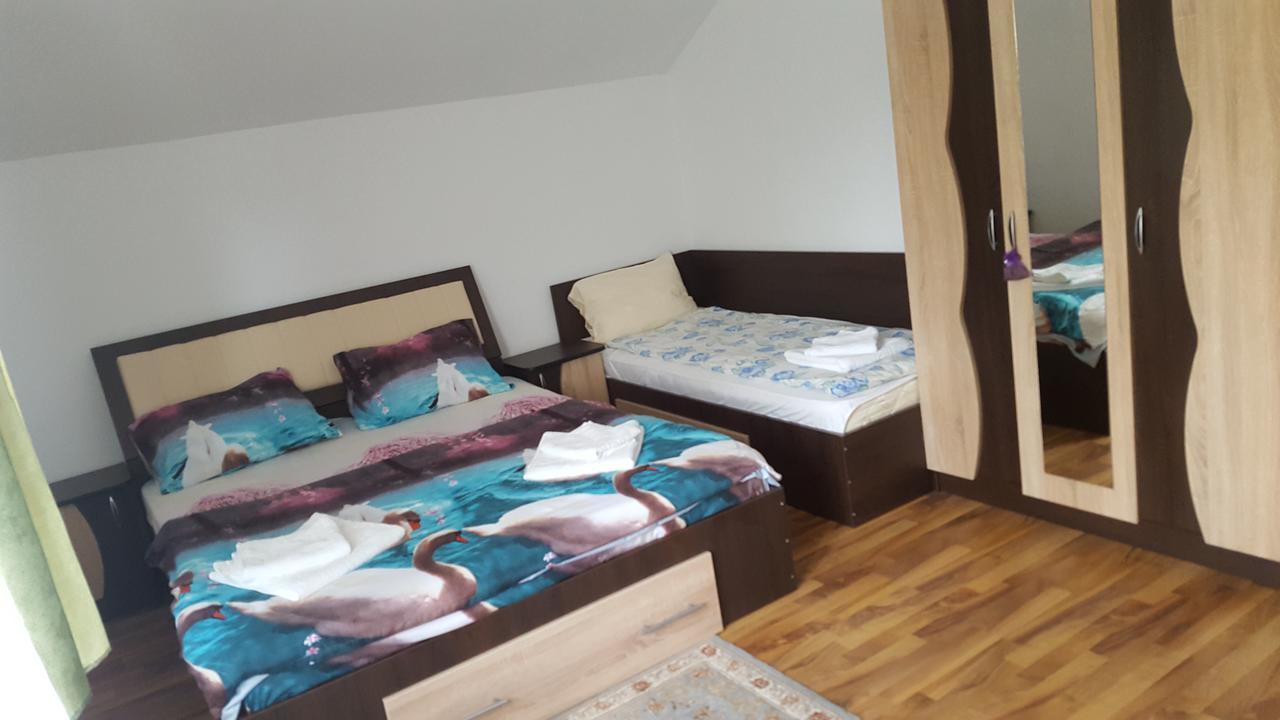 Vila Alex Hotel Călimăneşti Eksteriør billede
